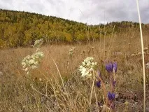 Заповідник - Хакаський - Вода - джерело краси та молодості вода