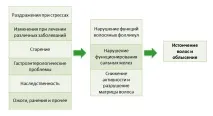 KAMINOMOTO (ЯПОНІЯ) волосся
