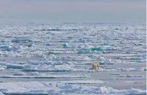 Карське море екологічні проблеми та способи їх вирішення проблеми