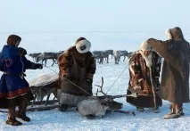 Карське море цікаві факти, характеристика, де знаходиться, фото, відео карське