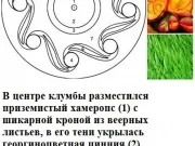 клуб