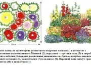 клуб