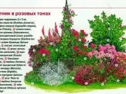 клуб