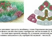 клуб