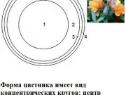 очумілі