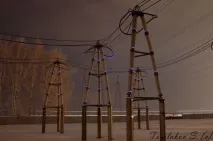 коронний