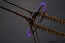 розряду