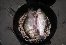 Коптильня з бікса руками