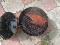 Коптильня з медичної бікси ♨ коптильня