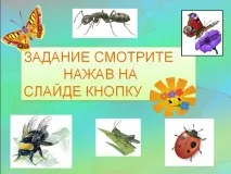 Конспект заняття в дитячому садку Комахи дитячому