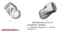 поверхня