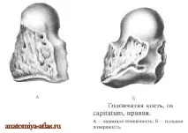 поверхня