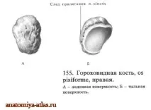 поверхня