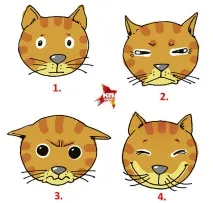 Котяче-людський розмовник вона