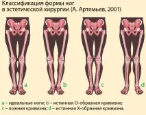 головна