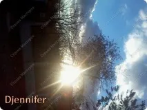 листівка