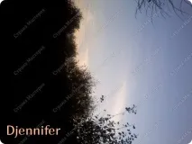 паличці