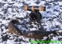 Ловля великого ротана взимку, Рибалка рибалки бачить здалеку рибалка