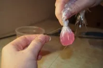 пляшці