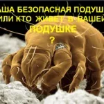 Життя людини та її здоров’я Рецепт напою вода - кефір здоров