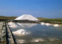 пасти