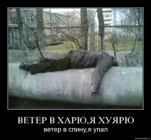 Життя бабароба від народження до смерті, Блог Семен Полтавський, КОНТ бабароба