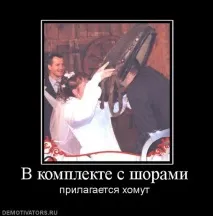 Життя бабароба від народження до смерті, Блог Семен Полтавський, КОНТ бабароба