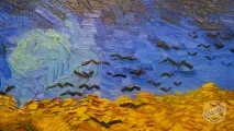 Музей Ван Гога в Амстердамі можна