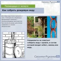 Чи можна поливати квіти святою водою – докладна інформація! докладна