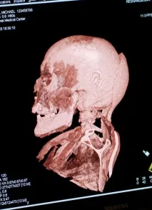 Мумії світу - НОВИНИ У ФОТОГРАФІЯХ ZUMA