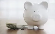 На Шрі-Ланку самостійно – подорож на всі 100% самостійно