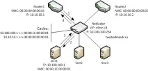Netscaler VPX - загальні відомості, початкове налаштування, Twistedminds загальні
