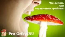 Невідкладна допомога при отруєнні грибами допомога