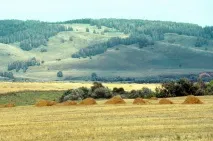 Невідома історія могильник