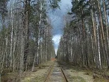 Новоорлівський заказник заказник