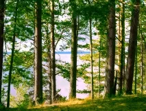 Нова Мозжинка ліворуч