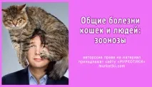 загальні