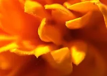 Огляд аксесуара Olloclip 4-in-1 Lens (iPhone 6 olloclip
