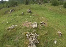 Огляд аксесуара Olloclip 4-in-1 Lens (iPhone 6 olloclip