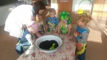 Город на вікні» (Проектно-дослідницька діяльність у ДОП) город
