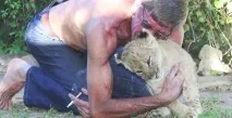 дружба