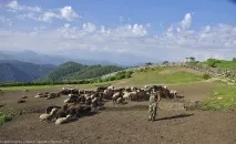Від кошари до кошари, Цікавий Світ подорожі, туризм, психологія, наука, техніка, цікаве в подорожі