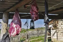 Від кошари до кошари, Цікавий Світ подорожі, туризм, психологія, наука, техніка, цікаве в кошари