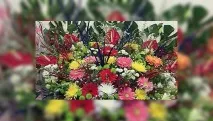 Парк імені Горького запрошує на фестиваль квітів квітів