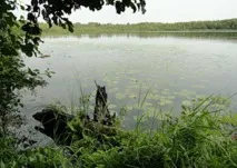 світлояр
