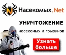 Відгуки про ультразвуковий відлякувач клопів та інструкція із застосування. інструкція