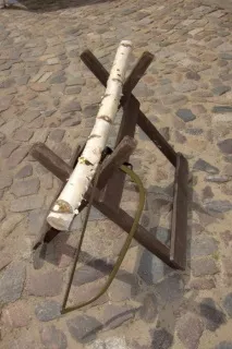 найнезвичайніших