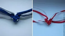 серця