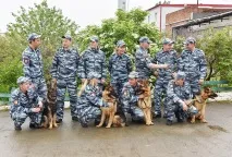 Першим на слід Діми Пєскова вийшов службово-розшуковий собака Лео Суспільство Облгазета першим