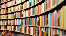Чому ми бачимо обличчя на Марсі та на бутербродах бачимо